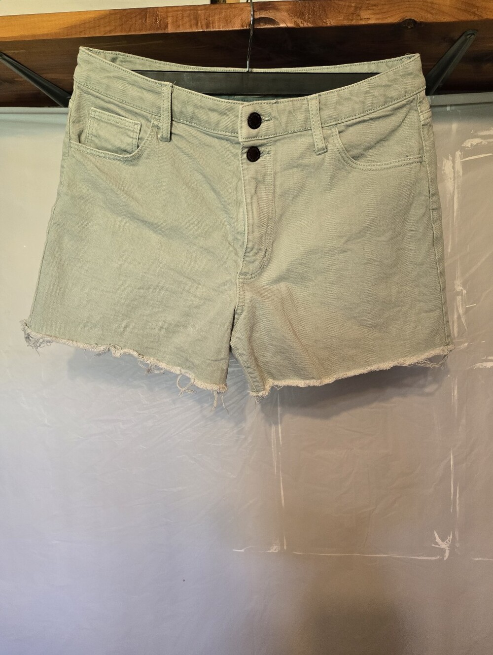 Universal Thread Mint Green Jean Shorts